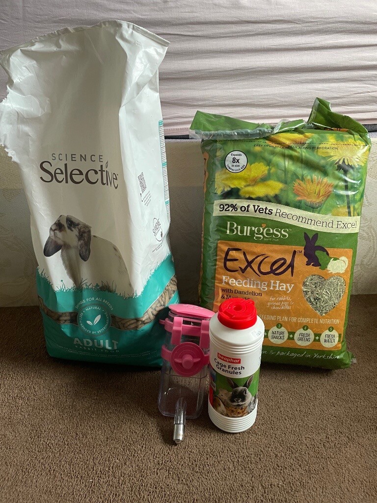 free rabbit stuff